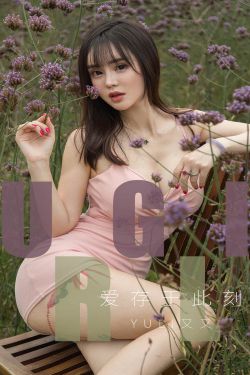 午夜第九理论达达兔dy888流
